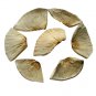 Organic Breadfruit Dehydrated/Air Dried(Artocarpus altilis) From Sri Lanka 250 g