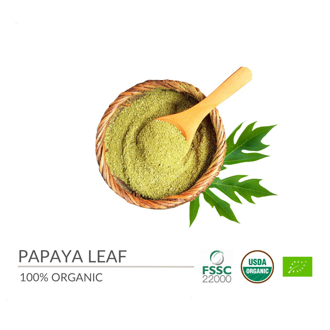 Organic Carica Papaya Leaf Powder 200 g
