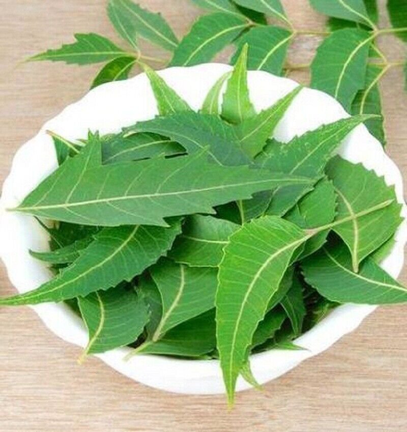 Organic Dried Neem (Azadirachta Indica) Margosa Leaves 200 g