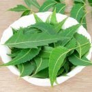 Organic Dried Neem (Azadirachta Indica) Margosa Leaves 200 g