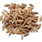 Whole Dried Cumin (Cuminum Cyminum) Jeera  Seeds 100 g