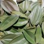 Dried Cinnamon Leaves Natural Herbal Alternative to Bay Leaves -100 g