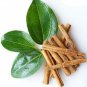 Dried Cinnamon Leaves Natural Herbal Alternative to Bay Leaves -100 g