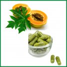 Organic Papaya (Carica papaya) Leaf 30 Capsules Organic Papaya (Carica papaya) Leaf 30 Capsules