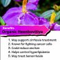 Organic Heenbovitiya (Osbeckia octandra) Capsules For Hemorrhoids (60 Capsules)