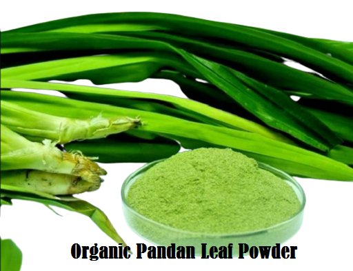 Organic Pandan/Panandus Screwpine Leaf Powder For Pain Relief 200 g