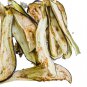 Organic Dehydrated Eggplant / Brinjal /Aubergine Strips Dried For Moju & Salad 100 g