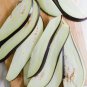 Organic Dehydrated Eggplant / Brinjal /Aubergine Strips Dried For Moju & Salad 100 g