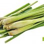 Organic Dried Lemongrass- Aromatheraphy, Mosiquito Repalent Enhance Food Flavor 100g