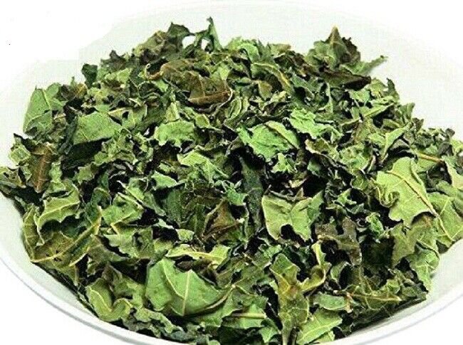 Organic Dehydrated Carica Papaya Leaves Immunity Boost Increase Platelets 200 g