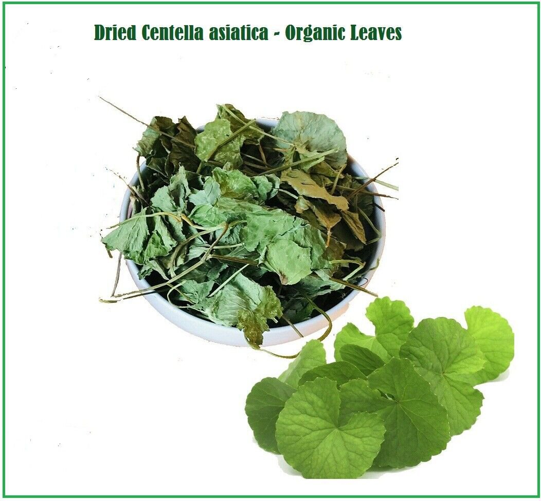 Dried Centella Asiatica / Gotukola Leaf (Indian Penny wort) Organic Leaves 200g