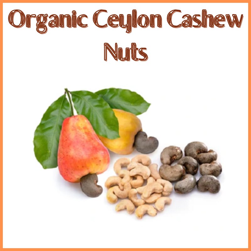 Organic Raw Oven Dried Split Half Cashew Nuts 100 g