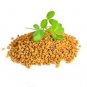 Whole Fenugreek/Methi Seeds/Trigonella Foenum Graecum Control Blood Sugar 100 g