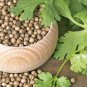 Whole Coriander Seeds Coriandrum sativum Non-GMO Premium Quality Best Spice 100g