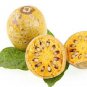 Organic Bael (Aegle marmelos) Dried Flowers Herbal Drink Purify Blood 50 g