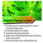 Organic Ceylon Carica Papaya Leaf Powder 100 g