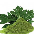 Organic Ceylon Carica Papaya Leaf Powder 450 g(1 lb)