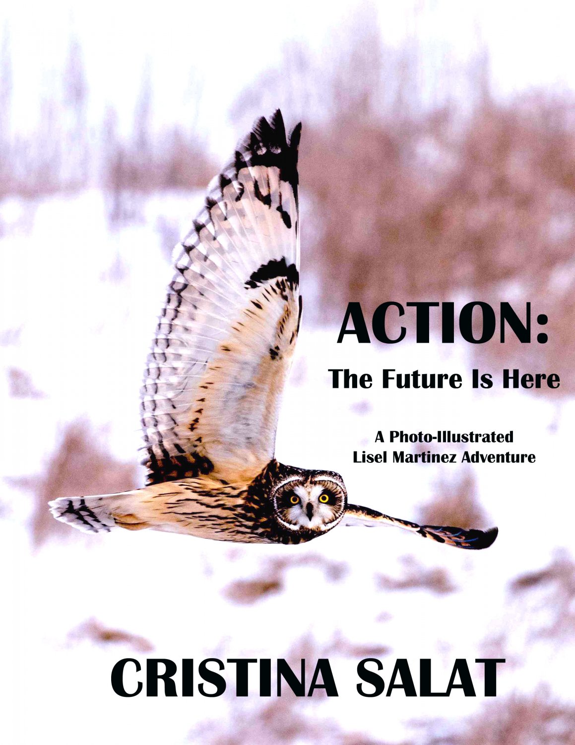 ACTION: THE FUTURE IS HERE (e-book)