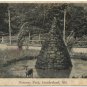 Narrows Park, Cumberland, MD c1907 Postcard