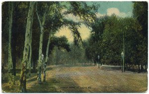 Forest Park, St. Louis, MO c1912 Postcard