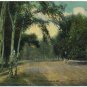 Forest Park, St. Louis, MO c1912 Postcard