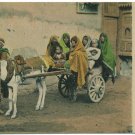 Charette egyptienne, Le Caire Postcard