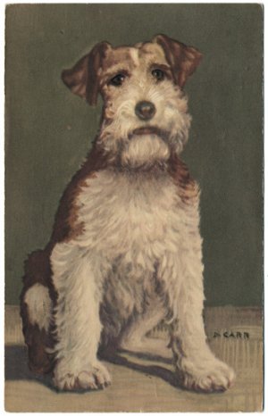 Wire-haired Fox Terrier, signed D Carr, c1950s Postcard