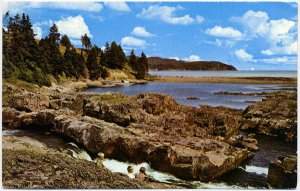 Southern Shore, Newfoundland Postcard
