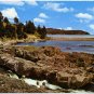 Southern Shore, Newfoundland Postcard