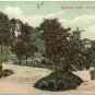 Mountain Drive, Hot Springs, AR c1910s Postcard