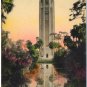 The Singing Tower, Florida Hand-Colored Postcard
