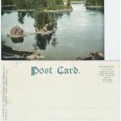 Thousand Islands, The Lost Channel, NY Postcard
