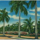 Las Olas Boulevard, Ft. Lauderdale, FL Postcard