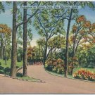 Entrace to Union Park, Des Moines, IA Postcard