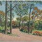 Entrace to Union Park, Des Moines, IA Postcard