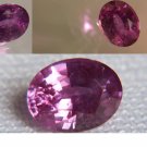 0.87 ct GIA purplish pink Sapphire/Ruby| GIA Premium handcrafted oval cut Sri Lanka