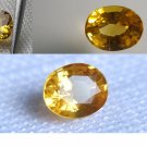 0.54 ct GIA Genuine yellow Sapphire, loose, GIA Premium handcrafted oval cut Sri Lanka
