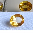 GIA Genuine yellow Sapphire, loose, GIA Premium handcrafted oval cut Sri Lanka