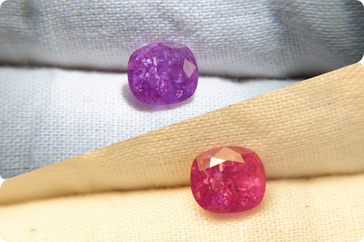 IGL Bi-Color Hot Pink Sapphire, premium cut, GIA premium handcrafted cushion step cut Sri Lanka
