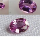 Hot Pink Sapphire - Oval - 0.65 ct - IGL certified