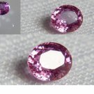 Genuine Pink Sapphire - Oval - 0.65 ct - GIA certified Genuine Pink Sapphire - Oval - 0.65 ct - GIA certified