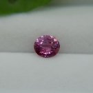 Vivid Pink Sapphire - Oval - 1.35 ct - COR certified