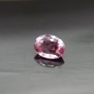 Vivid Pink Sapphire - Oval - 1.50 ct - COR certified
