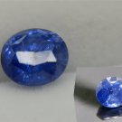 Vivid Cornflower Blue Sapphire - Oval - 1.80 ct