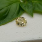 Lemon Yellow Sapphire - Oval - 1.55 ct