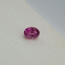 Premium: Vivid Red-Pink Sapphire - Oval - 0.997 ct - IGL certified