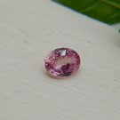 Rare: Vivid Padparadscha Sapphire - Oval - 1.51 ct - CSL certified