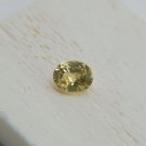 Premium: Vivid Intense Yellow Sapphire - Oval - 1.10 ct