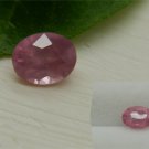 Rare: Neon Pink Mahenge Spinel - Oval - 0.90 ct - COR certified