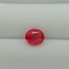 Rare: Neon Orangish-Red Mahenge Spinel - Oval - 1.581 ct - AGL certified